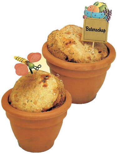 Kruidenbrood groeit in een pot